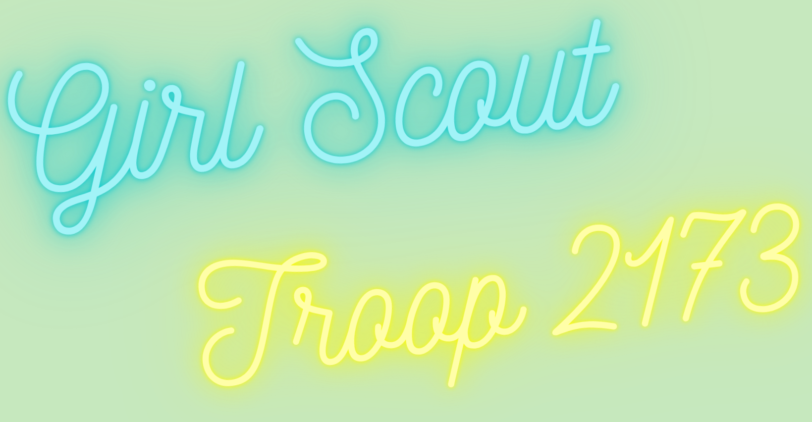 Troop 2173
